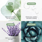 Meebak Cica Cleansing Water Pads | Korean Makeup Remover Wipes | Micellar Water Makeup Remover Wipes | Exfoliating Toner Pads for Glass Skin | Hydrating & Calming for Sensitive Skin - 80ct